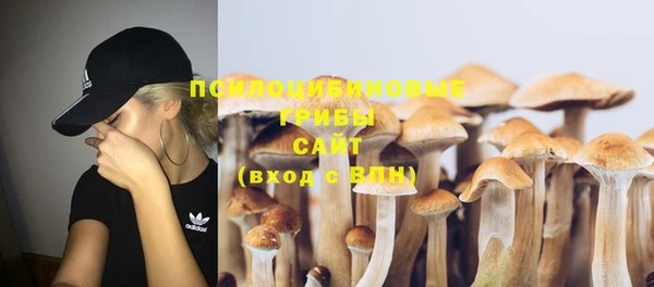 бутират Саяногорск