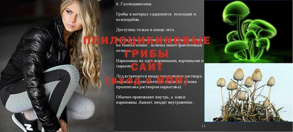 прущий лед Сафоново