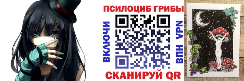 Купить где  Лаишево  Псилоцибиновые грибы GOLDEN TEACHER 